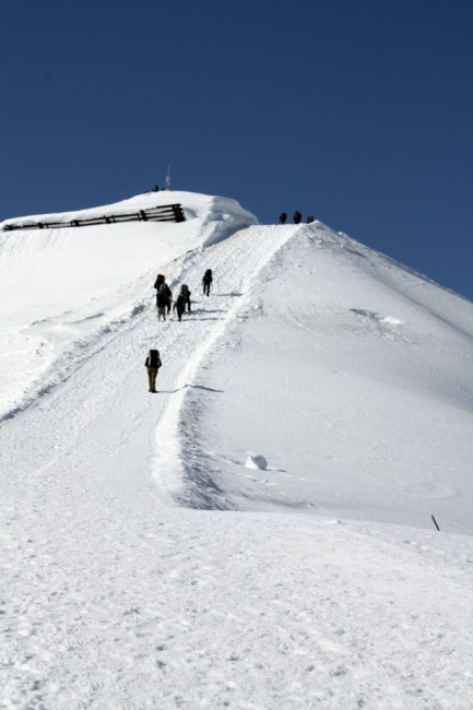 img-7233.jpg