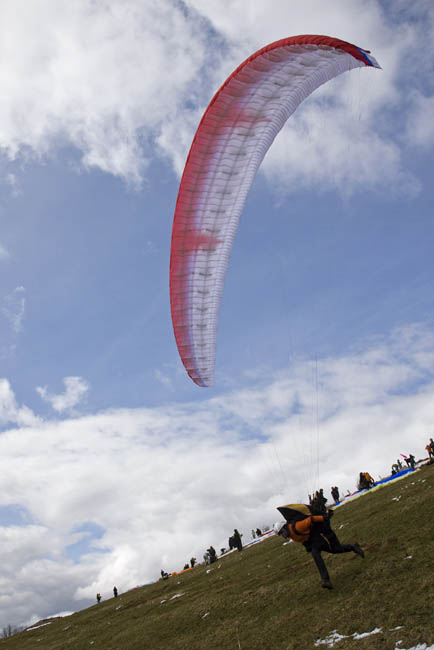 _MS_2190.jpg
