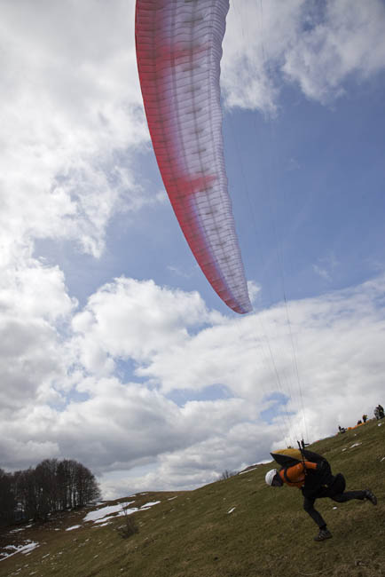 _MS_2194.jpg