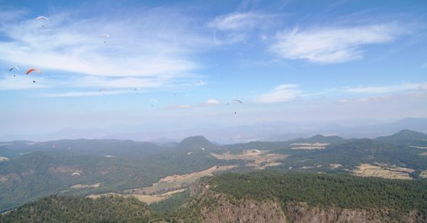 sl2239.jpg