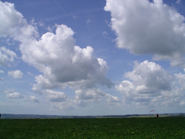 sl2334.jpg