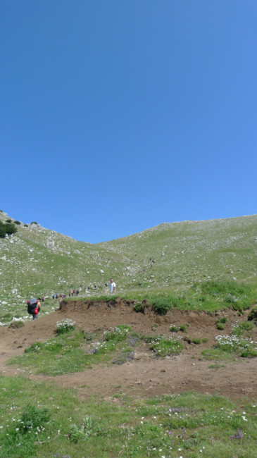 p1020985_t1.jpg