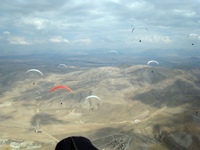 sl2068.jpg