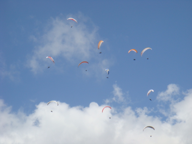 dsc02447.jpg