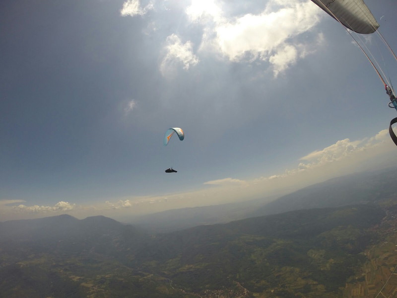 t4pic5.jpeg