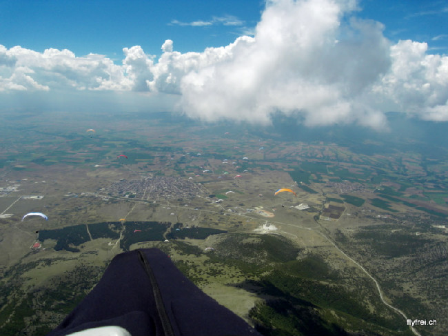 sdc12381.jpg