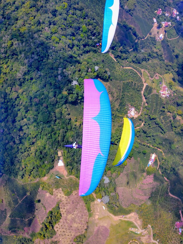 apia-1.jpg