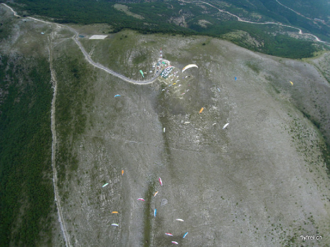sdc12386.jpg