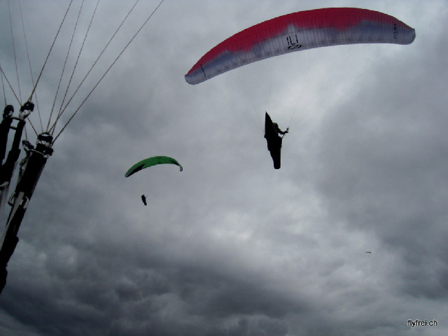 sdc12398.jpg