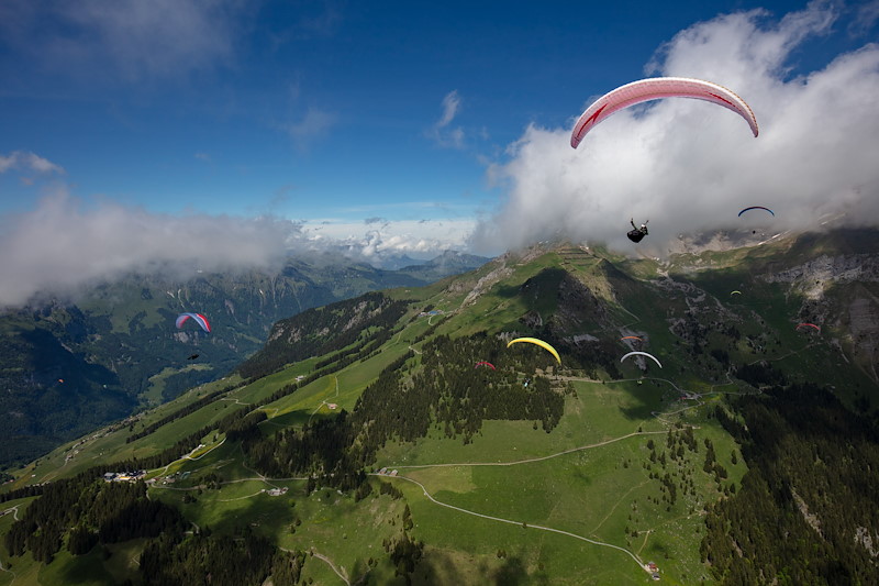 Grindelwald_MSGrindelwald_MS_06A0384.jpg