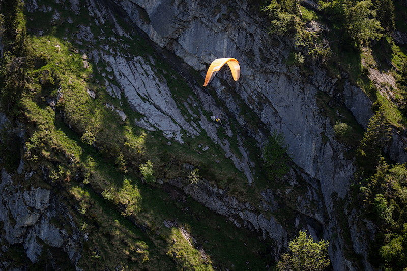 Grindelwald_MSGrindelwald_MS_06A0477-2.jpg