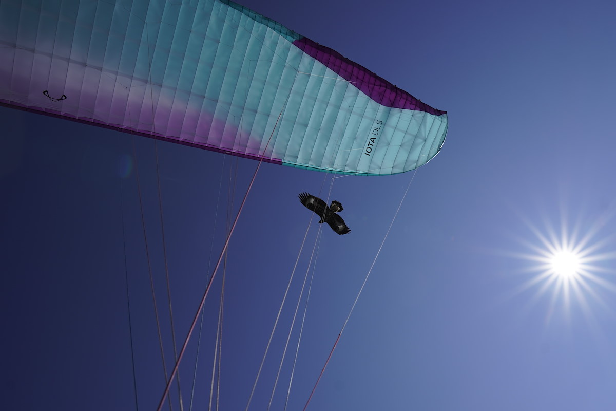 Screenshot 2024-10-25 085059.jpg