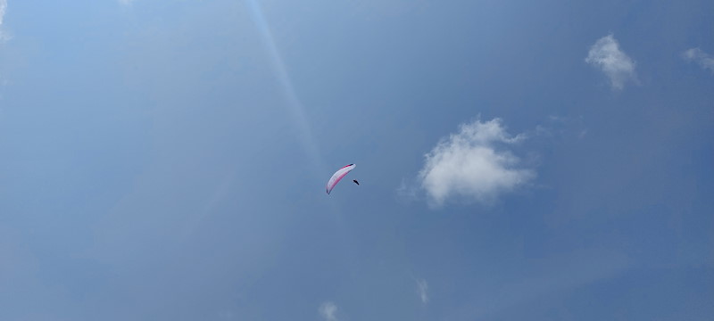 20250609_132913.jpg