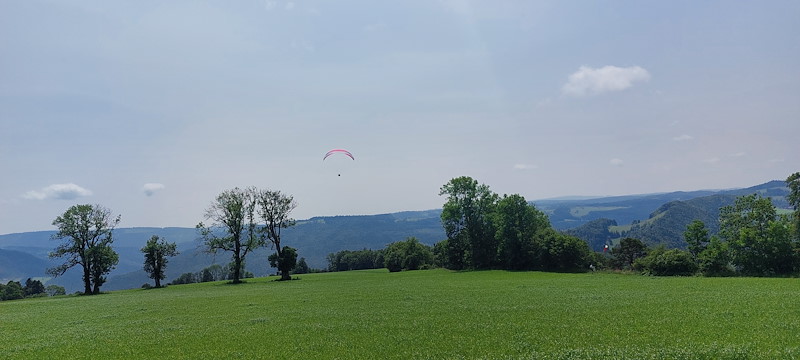 20250609_132940.jpg