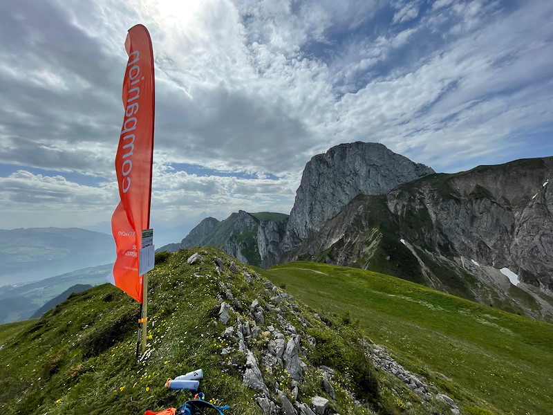 walalp1.jpg