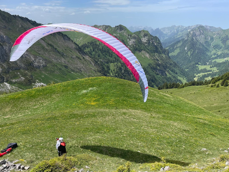 walalp2.jpg