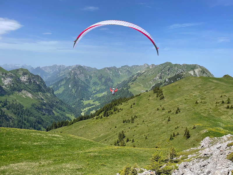 walalp3.jpg