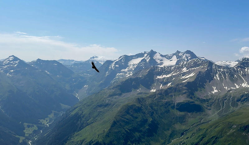 MS SC Disentis 020.jpg