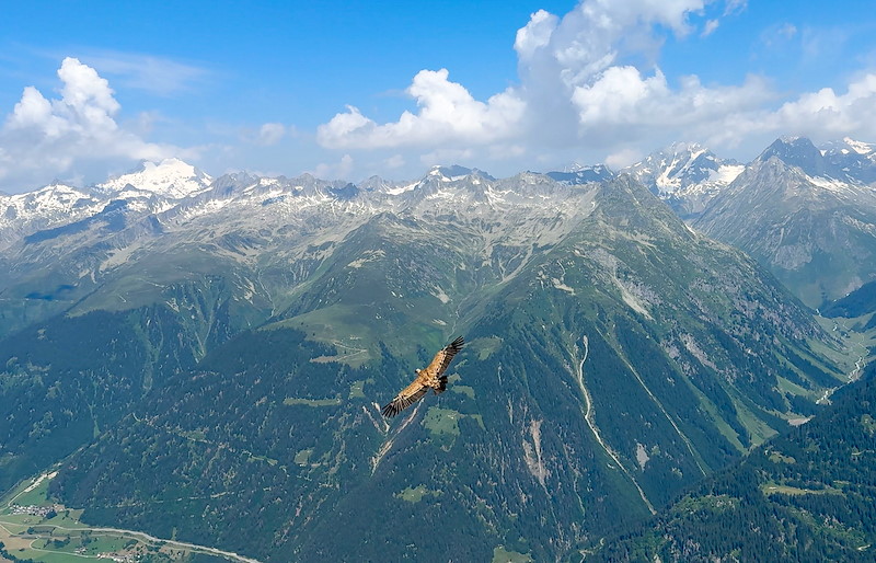 MS SC Disentis 021.jpg