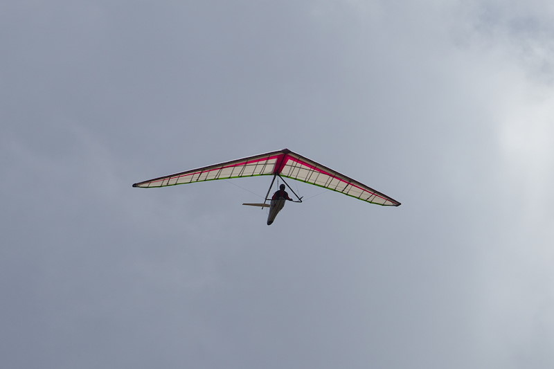 IMG_2264.jpg