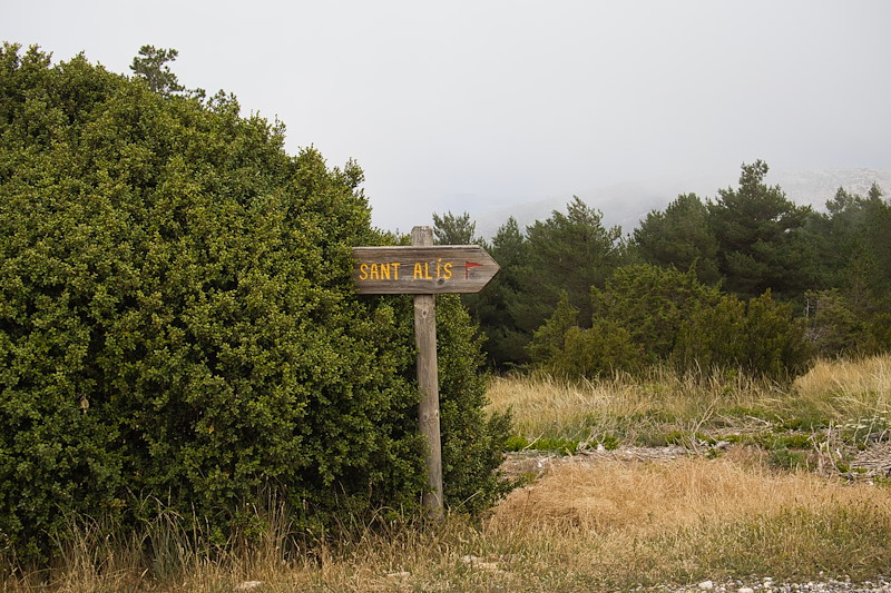 IMG_2970-2.jpg