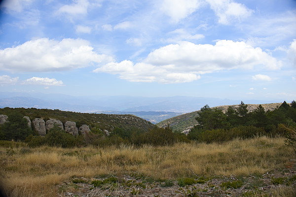 IMG_3239.jpg