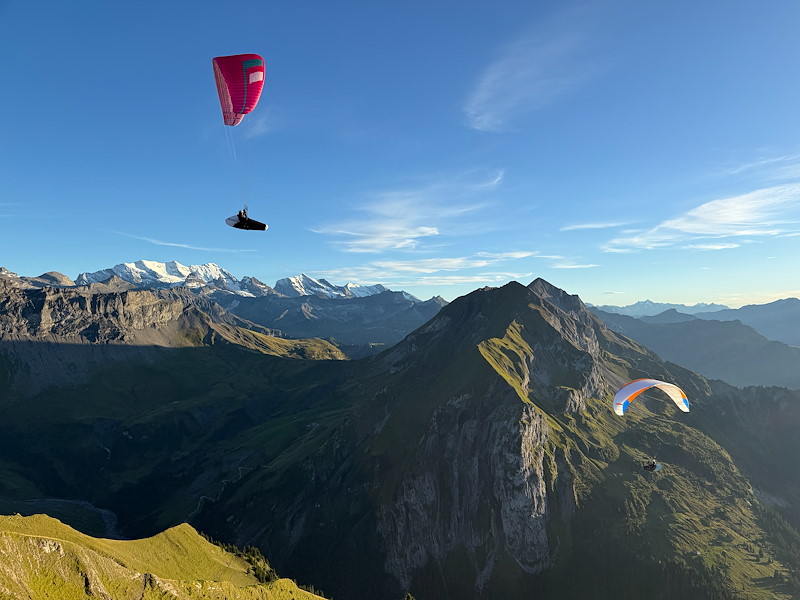 20250903_morgenberghorn_019.jpg