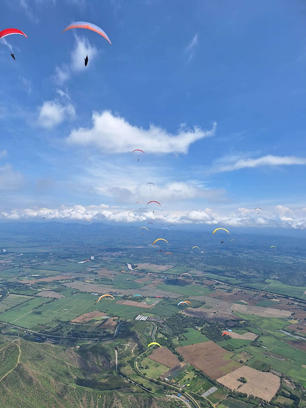 WhatsApp Image 2026-02-14 at 18.46.21.jpeg