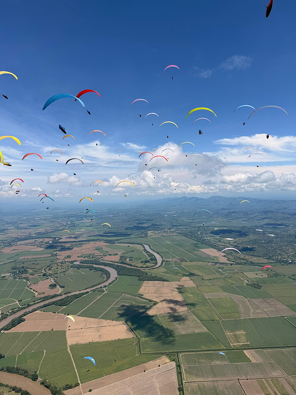 WhatsApp Image 2026-02-17 at 15.12.02.jpeg