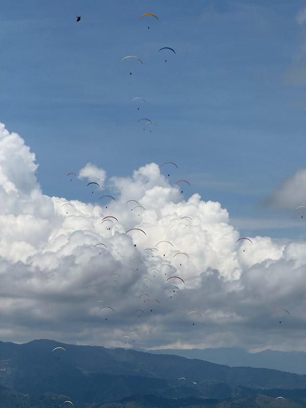 WhatsApp Image 2026-02-17 at 15.14.17.jpeg