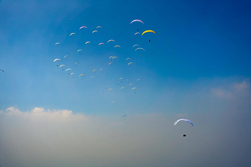 WhatsApp Image 2026-02-17 at 19.58.56.jpg