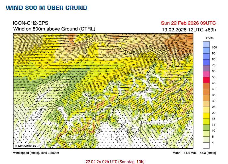 Screenshot 2026-02-19 173649.png