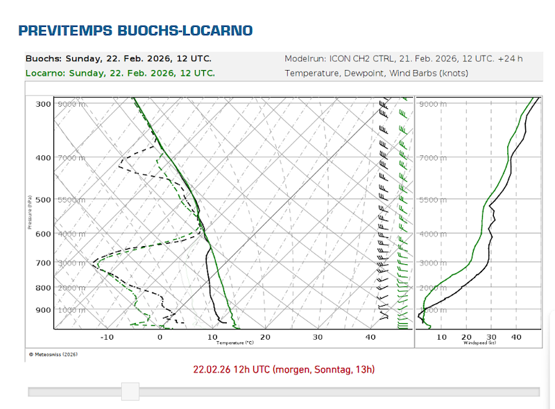 Screenshot 2026-02-21 191705.png