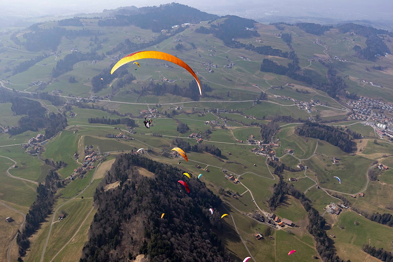  20260308 Regio Alp Scheidegg 005_SCH0069.jpg