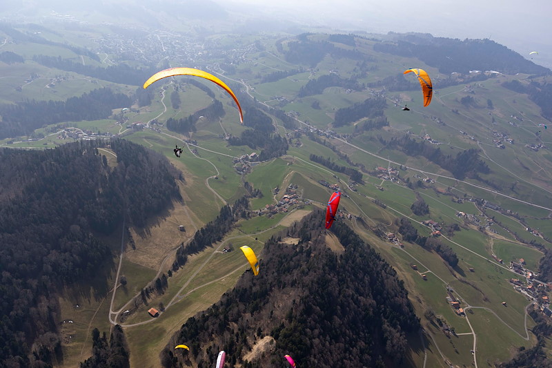  20260308 Regio Alp Scheidegg 007_SCH0076.jpg