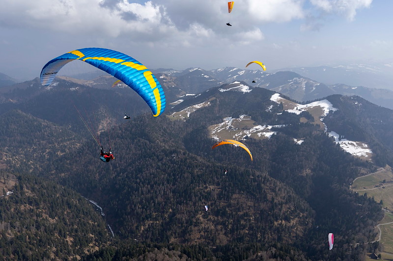  20260308 Regio Alp Scheidegg 008_SCH0083.jpg