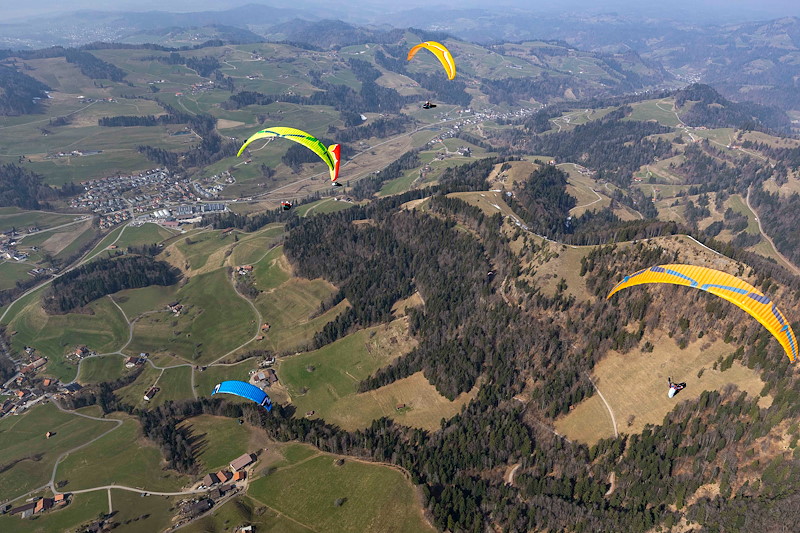  20260308 Regio Alp Scheidegg 010_SCH0089.jpg