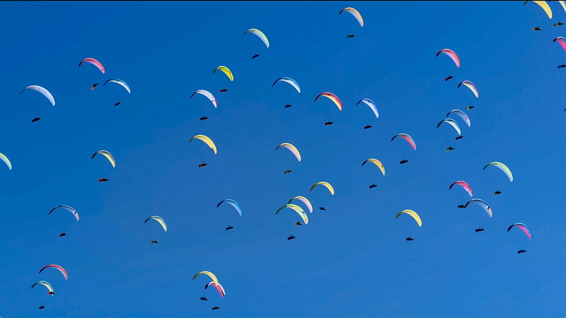 Montegrappa Trophy 4K 056.jpg