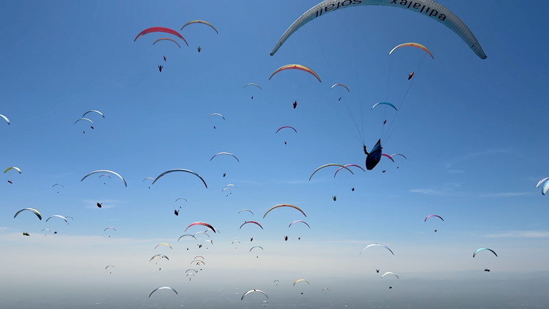 Montegrappa Trophy 4K 116.jpg