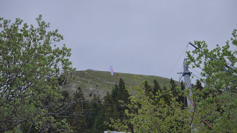 20260503_093736.jpg