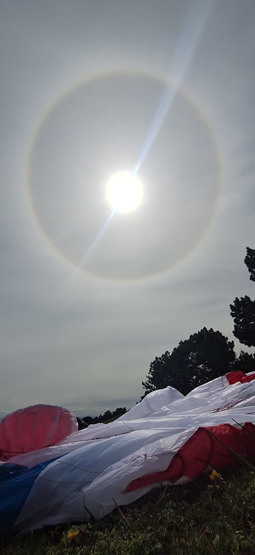 20260517_153244.jpg
